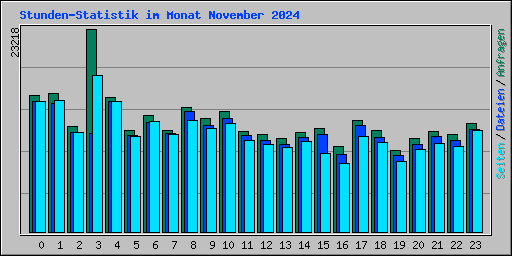 Stunden-Statistik im Monat November 2024