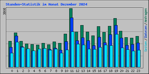 Stunden-Statistik im Monat Dezember 2024