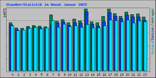 Stunden-Statistik im Monat Januar 2025