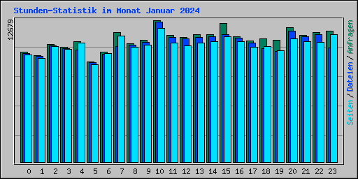 Stunden-Statistik im Monat Januar 2024