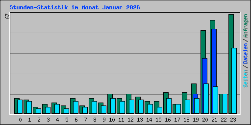 Stunden-Statistik im Monat Januar 2026
